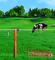 Schemat pastucha dla krów